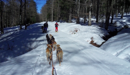 Schermafbeelding 2013-03-22 om 16.41.53.png